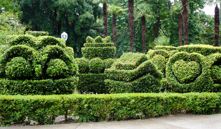 Парк топиарного искусства «Сады мечты»
