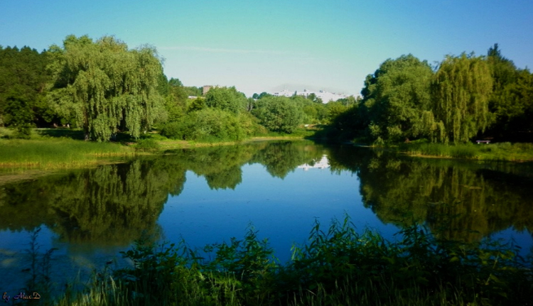 Парк «Воронежские озера»