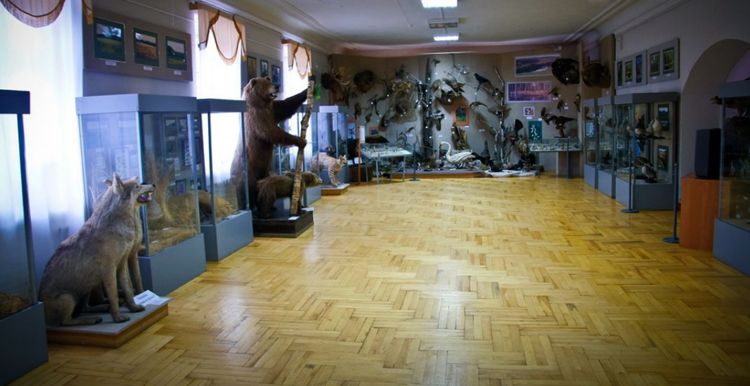 Внутри краеведческого музея