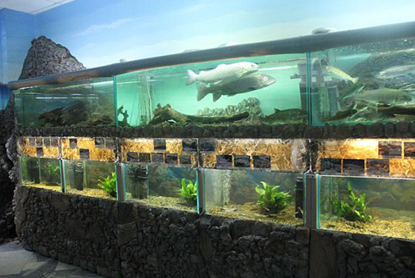 Внутри музея рыбы