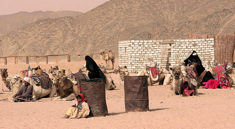 Деревня бедуинов