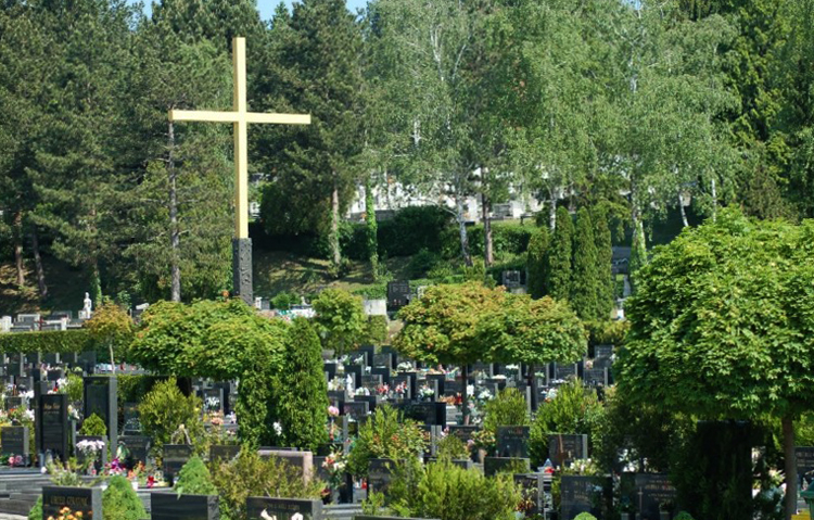Кладбище Мирогой