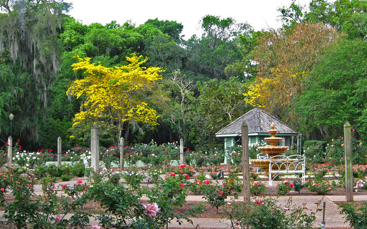 Harry P Leu Gardens