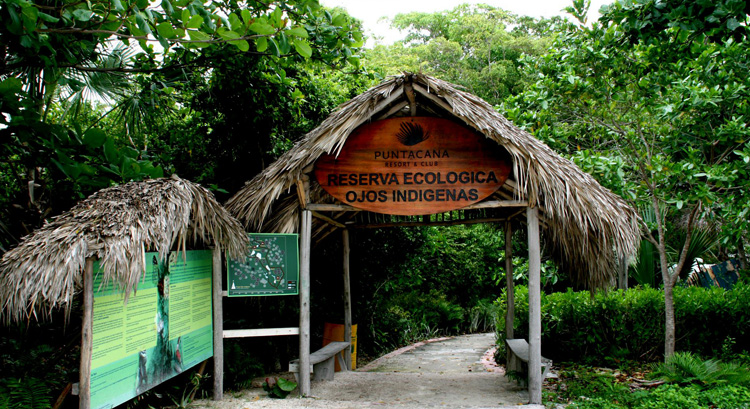 Экологический парк Indigenous Eyes