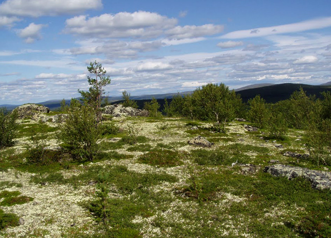 Лапландский государственный природный биосферный заповедник