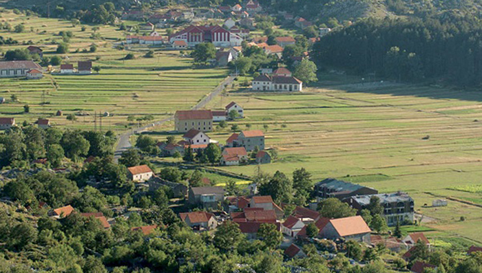 Деревня Негуши