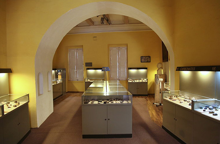 Внутри музея естественной истории