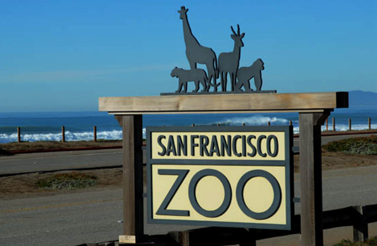 Зоопарк Сан-Франциско