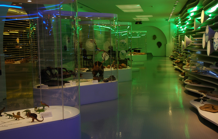 Внутри музея естественной истории