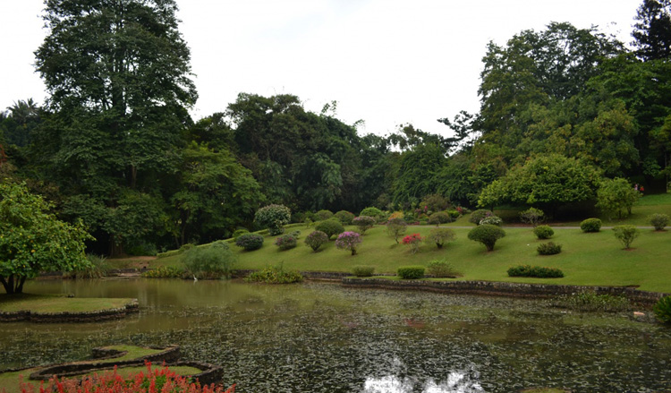 Пруд в королевском ботаническом саду