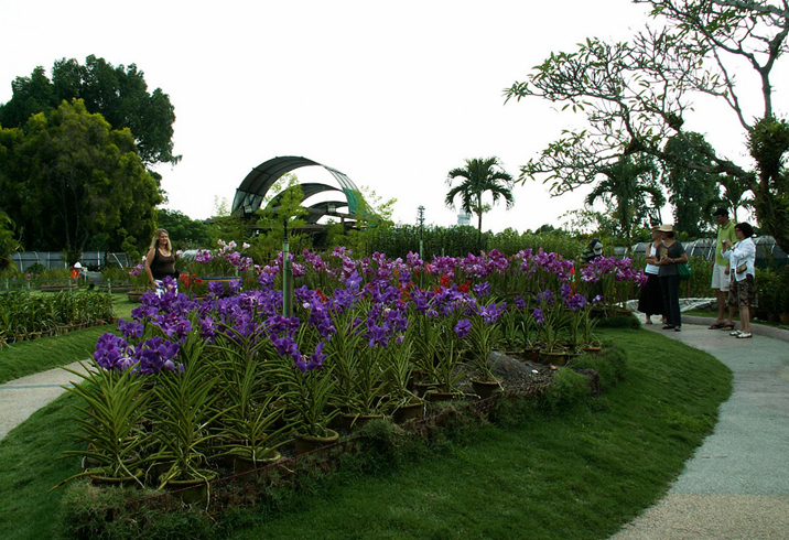 Парк орхидей