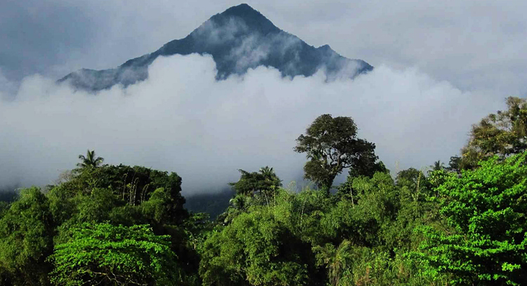 Вулкан Камерун