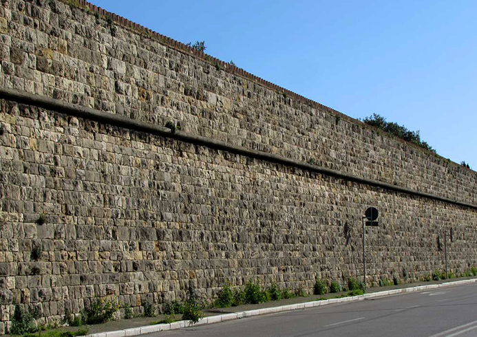 Леопольдова стена